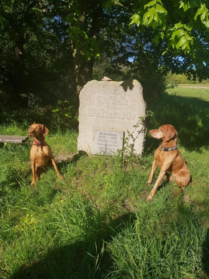 Ferienhaeuser Oberdorla Zewnętrze zdjęcie